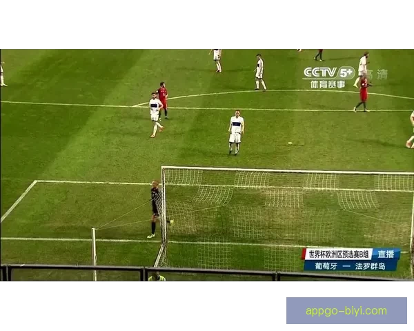 深度解析世界杯在线竞猜盘口变化趋势与投注技巧全攻略分享